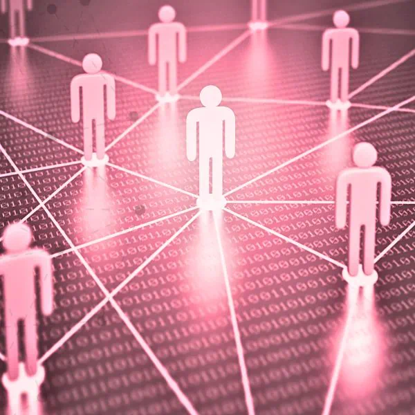 A network of connected partners