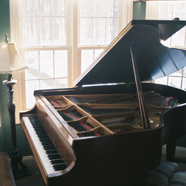 Pianos (Different Types)